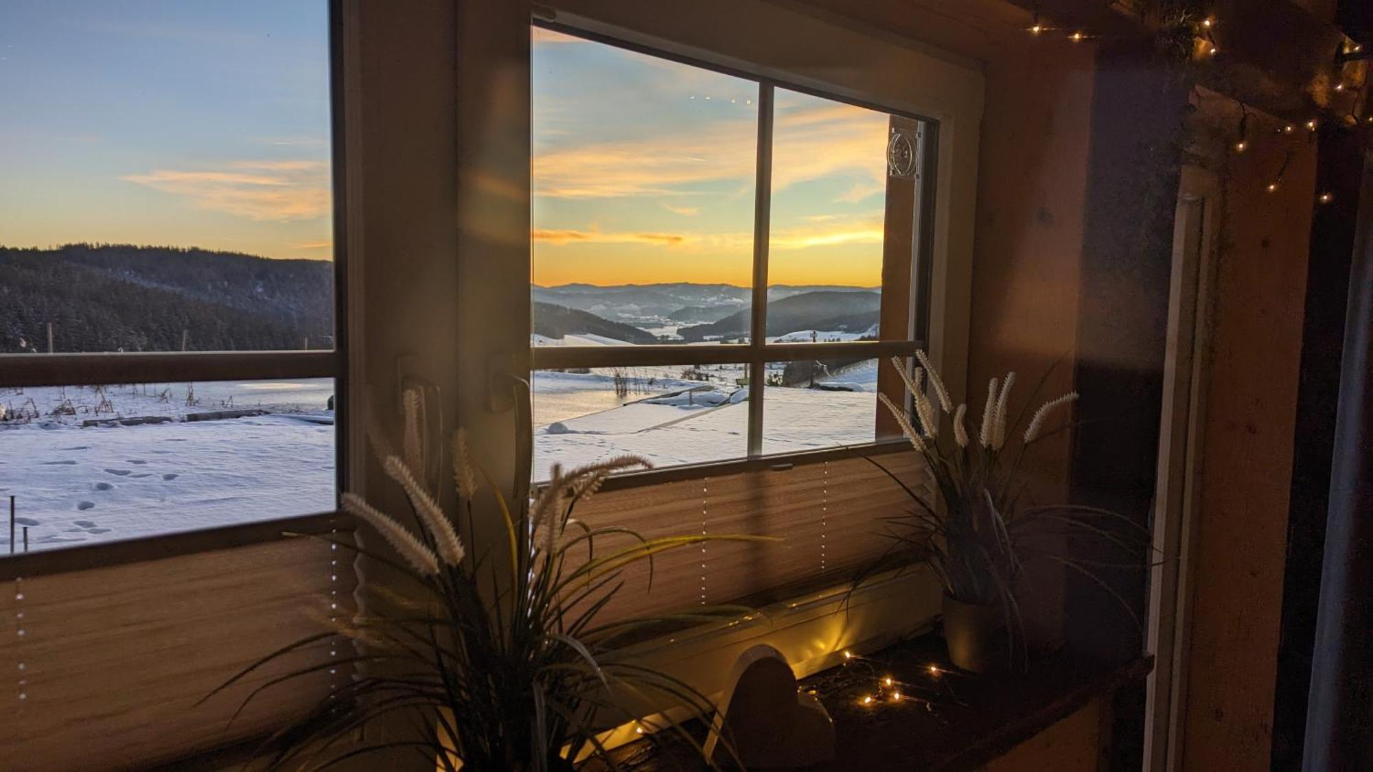 Haberjockelshof Erlebnishof Lägenhet Titisee-Neustadt Exteriör bild