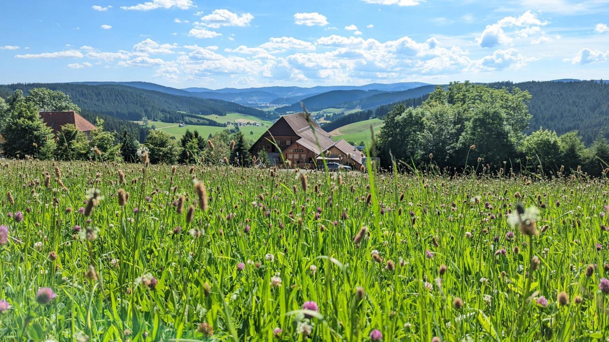 Haberjockelshof Erlebnishof Lägenhet Titisee-Neustadt Exteriör bild